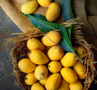 Our Mangoes